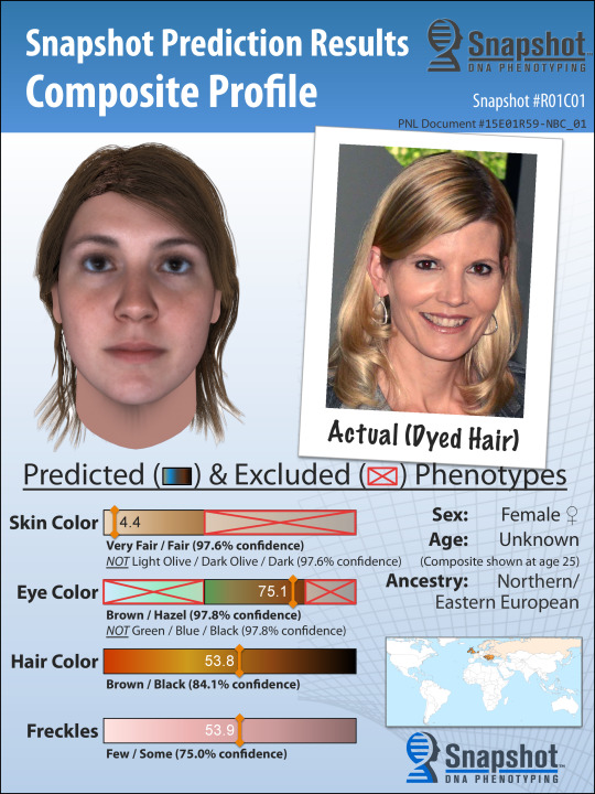 Example Snapshot Composite
